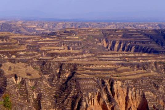 黄土塬