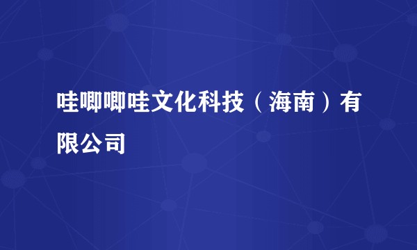 哇唧唧哇文化科技（海南）有限公司