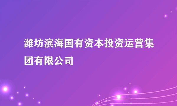 潍坊滨海国有资本投资运营集团有限公司