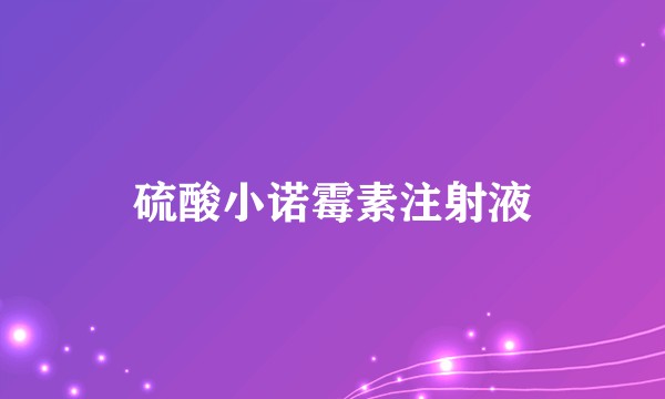 硫酸小诺霉素注射液