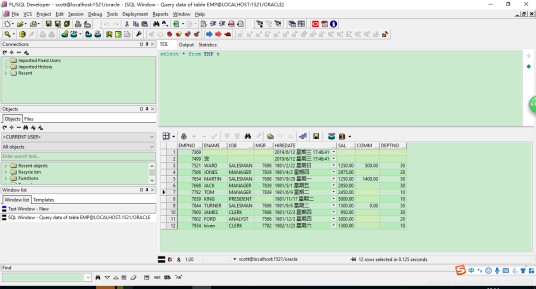 dbms_output