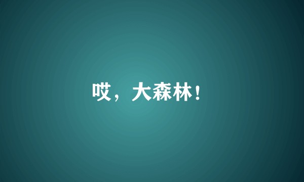 哎，大森林！