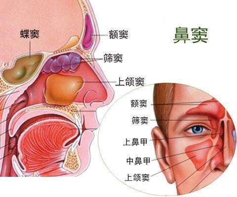 鼻腔鼻窦淋巴瘤