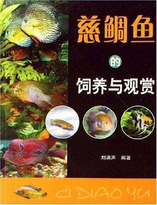 慈鲷鱼的饲养与观赏