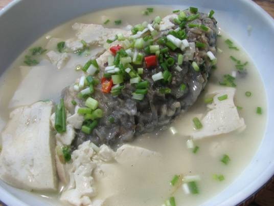 鲫鱼豆腐