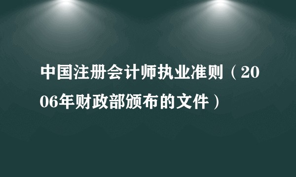 中国注册会计师执业准则（2006年财政部颁布的文件）