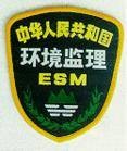 环境监理（实施环境监督管理的重要举措）