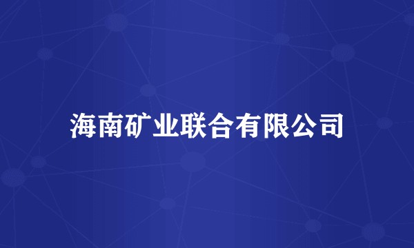 海南矿业联合有限公司