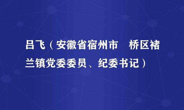 吕飞（安徽省宿州市埇桥区褚兰镇党委委员、纪委书记）