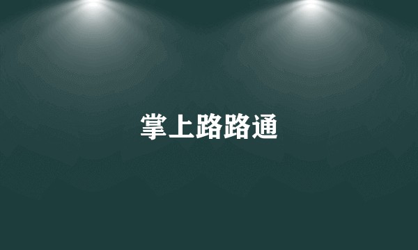 掌上路路通