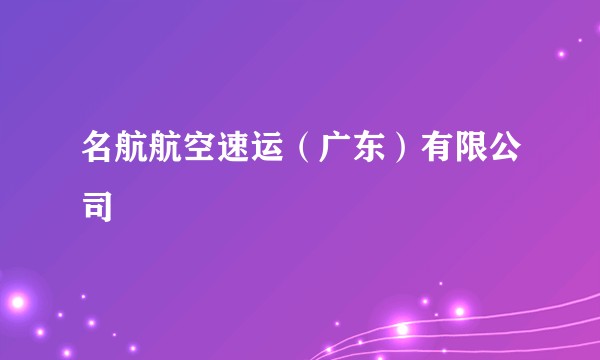 名航航空速运（广东）有限公司
