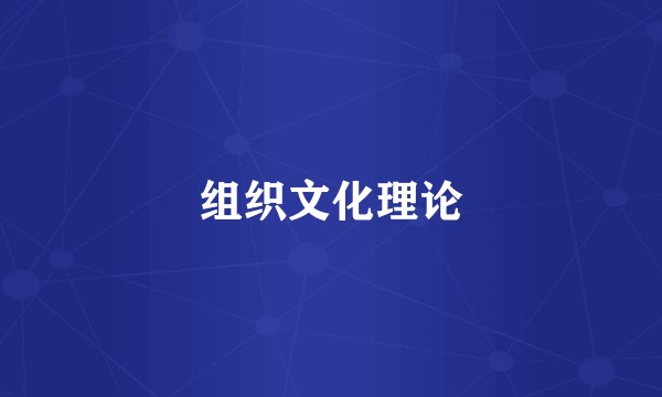 组织文化理论
