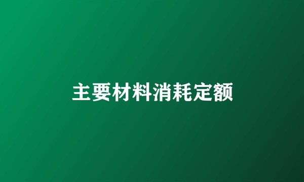 主要材料消耗定额