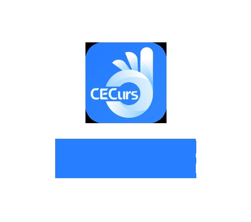 中电信用服务有限公司