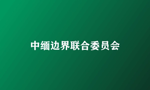 中缅边界联合委员会