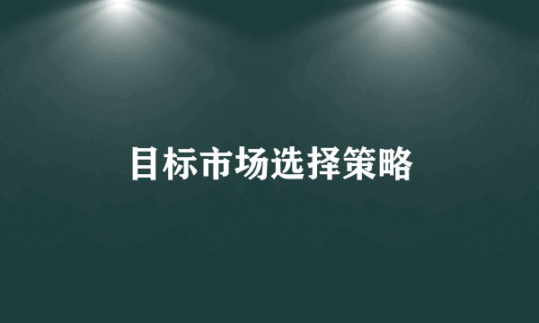 目标市场选择策略