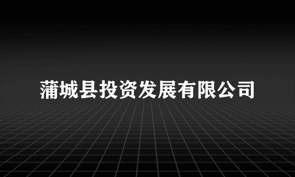 蒲城县投资发展有限公司