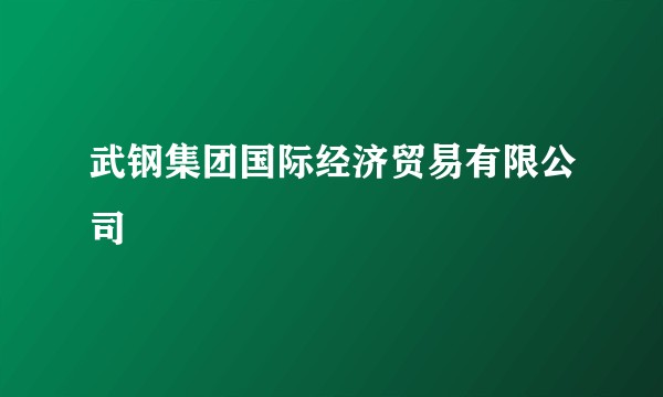 武钢集团国际经济贸易有限公司