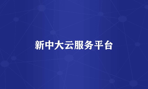 新中大云服务平台