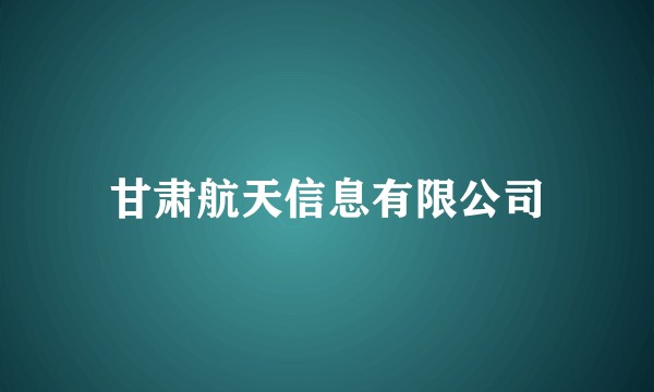 甘肃航天信息有限公司