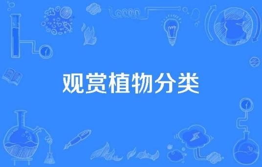 观赏植物分类