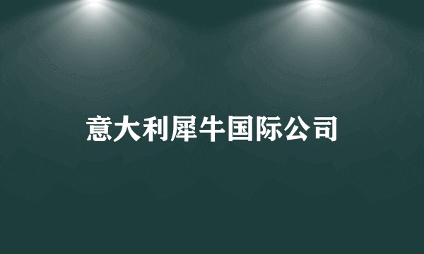 意大利犀牛国际公司