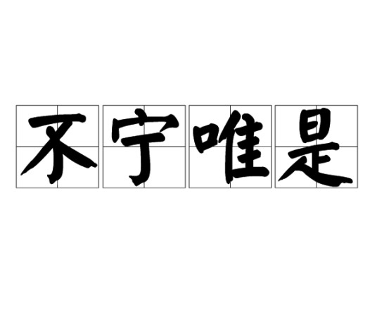 不宁唯是
