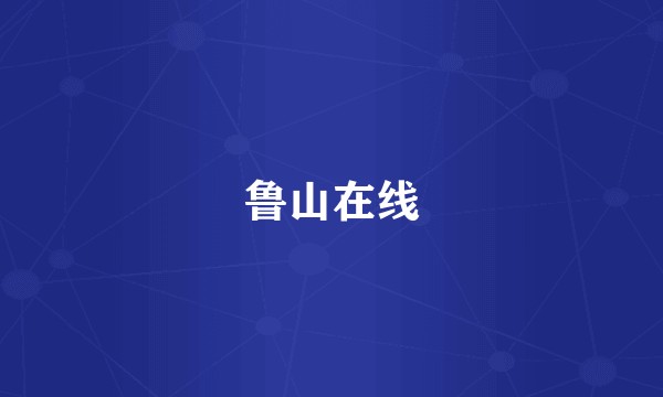 鲁山在线