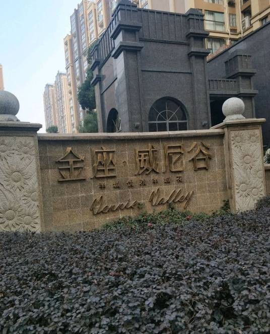 金座威尼谷