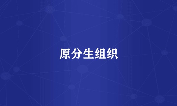 原分生组织