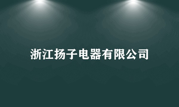 浙江扬子电器有限公司