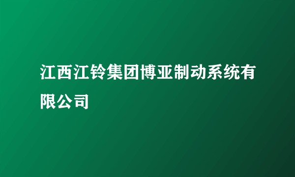 江西江铃集团博亚制动系统有限公司