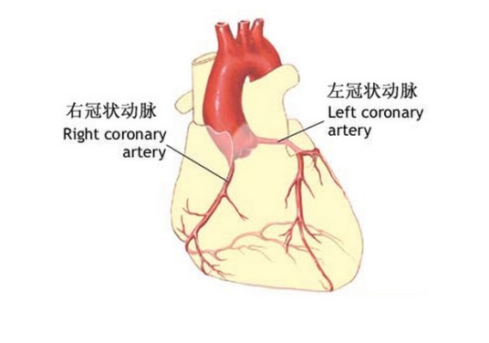 冠状动脉栓塞