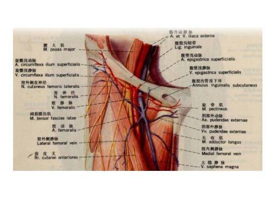 股三角