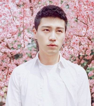 毛寸