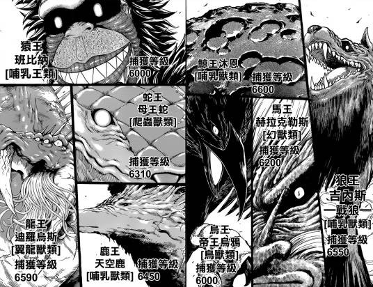 美食界八王