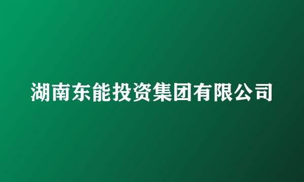 湖南东能投资集团有限公司