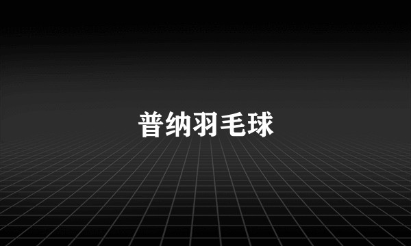 普纳羽毛球