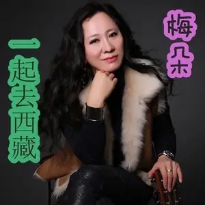 一起去西藏（梅朵演唱的歌曲）
