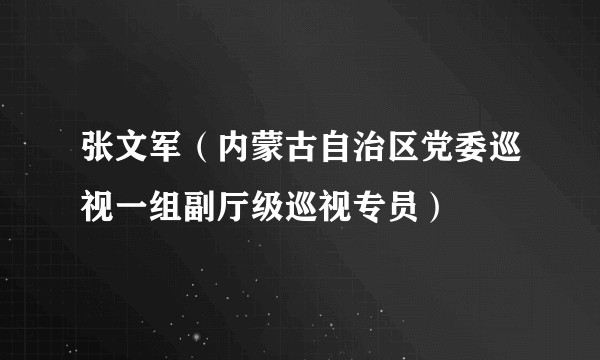 张文军(内蒙古自治区党委巡视一组副厅级巡视专员)