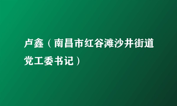 卢鑫(南昌市红谷滩沙井街道党工委书记)