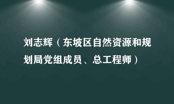刘志辉（东坡区自然资源和规划局党组成员、总工程师）