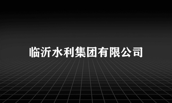 临沂水利集团有限公司