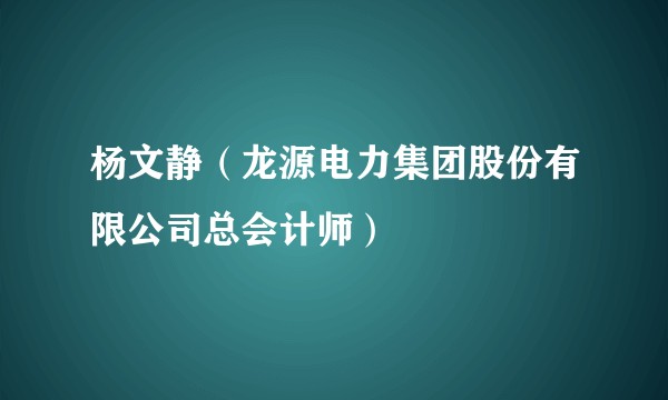 杨文静（龙源电力集团股份有限公司总会计师）