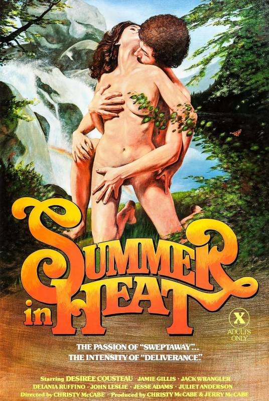 夏日激情（1979年美国电影）