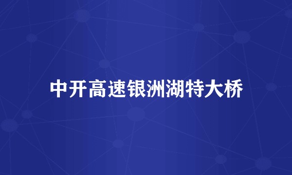 中开高速银洲湖特大桥