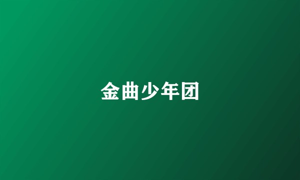 金曲少年团