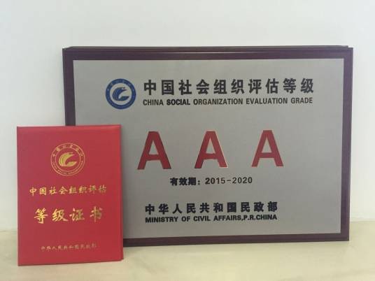 社会组织等级