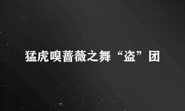 猛虎嗅蔷薇之舞“盗”团
