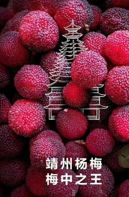 中国杨梅之乡